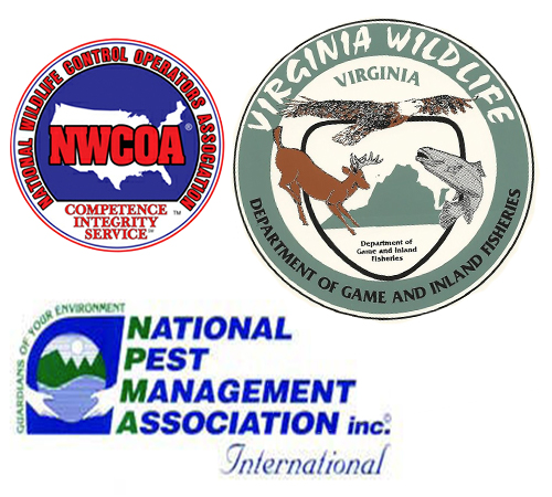 affiliations logo